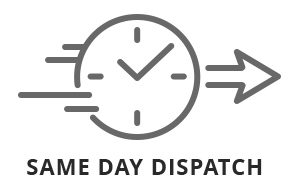Same Day Dispatch Icon