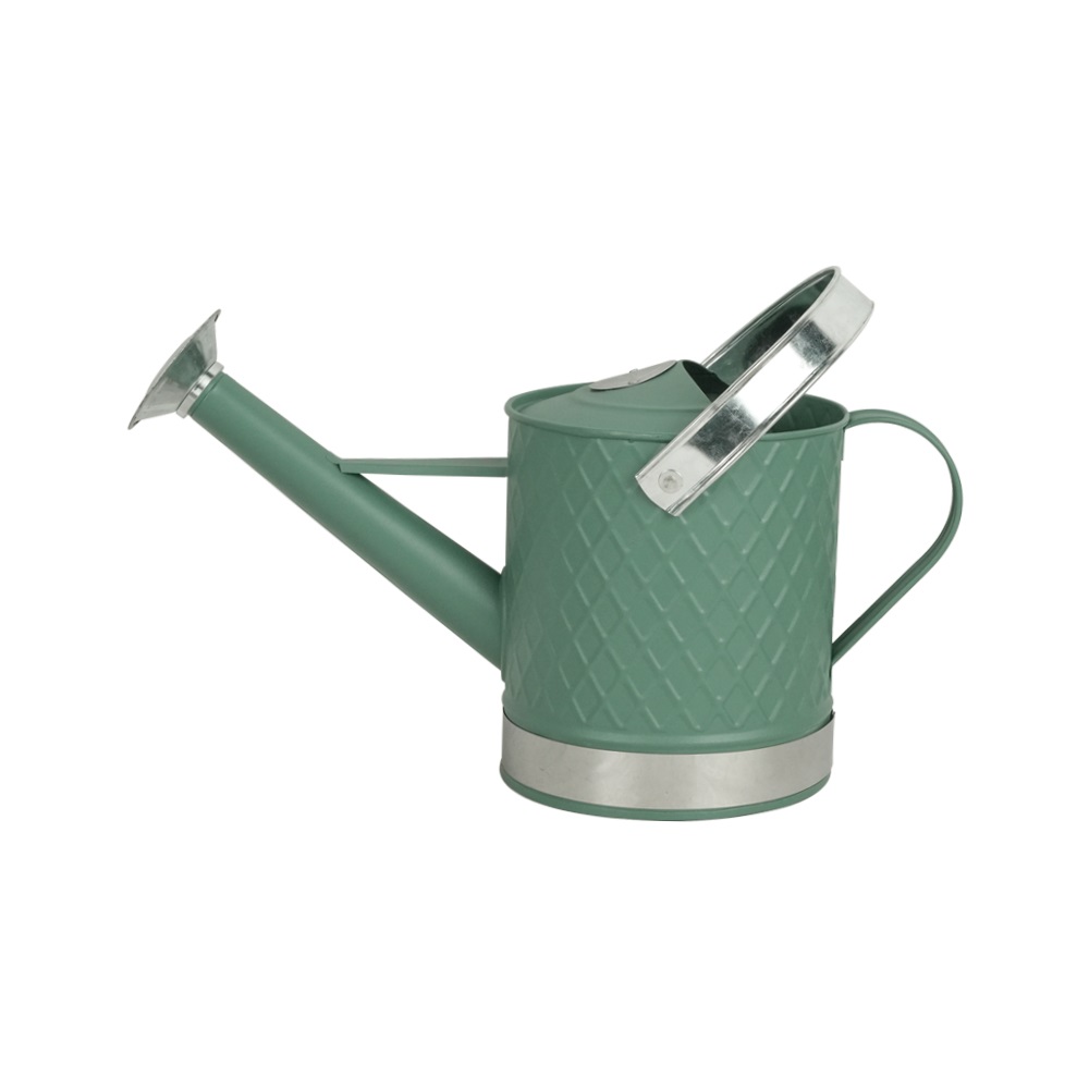 GREEN 3L WATERING CAN 