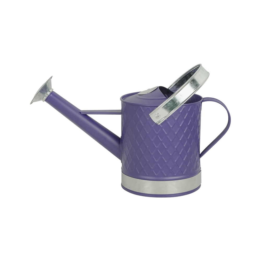PURPLE 3L WATERING CAN 